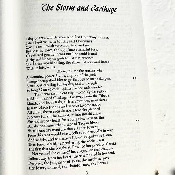 The Aeneid: An Epic Poem of Rome - Picture 7 of 8